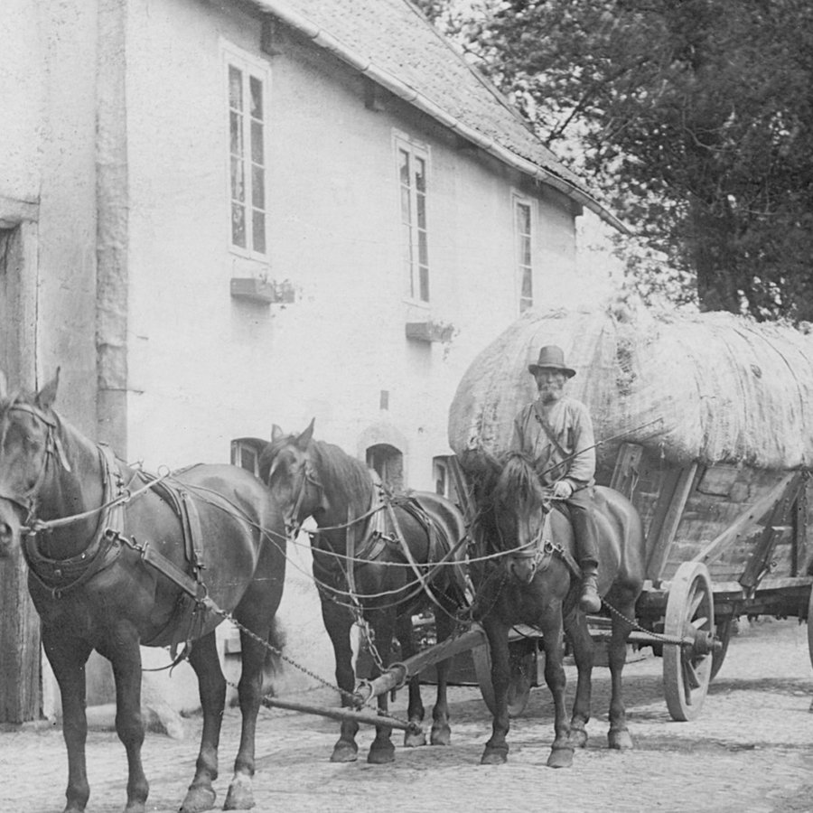 KÄMMERER 1900